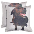 Shalinindia Digitally Printed Animal Face Cushion Cover Set Of 2,18x18 Inch,Faux Silk Dupion,Chocolate Labrador