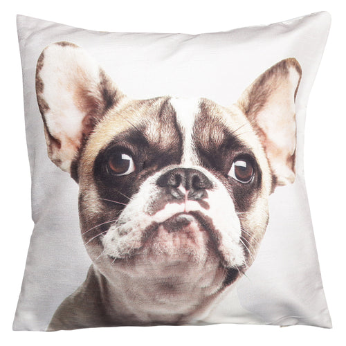 Shalinindia Digitally Printed Animal Face Cushion Cover Set Of 2,18x18 Inch,Faux Silk Dupion,French Bulldog