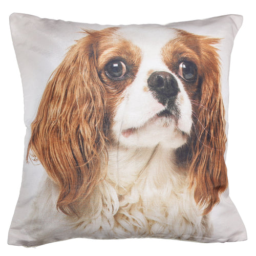 Shalinindia Digitally Printed Animal Face Cushion Cover Set Of 2,18x18 Inch,Faux Silk Dupion,Cavalier King Charles Spaniel 