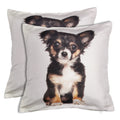 Shalinindia Digitally Printed Animal Face Cushion Cover Set Of 2,18x18 Inch,Faux Silk Dupion,Chihuahua Puppy