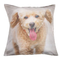 Shalinindia Digitally Printed Animal Face Cushion Cover Set Of 2,18x18 Inch,Faux Silk Dupion,Terrier Puppy Poodle