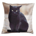 Shalinindia Digitally Printed Animal Face Cushion Cover Set Of 2,18x18 Inch,Faux Silk Dupion,Bombay Cat