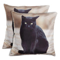 Shalinindia Digitally Printed Animal Face Cushion Cover Set Of 2,18x18 Inch,Faux Silk Dupion,Bombay Cat