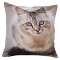 Shalinindia Digitally Printed Animal Face Cushion Cover Set Of 2,18x18 Inch,Faux Silk Dupion,American Bobtail Cat