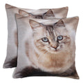 Shalinindia Digitally Printed Animal Face Cushion Cover Set Of 2,18x18 Inch,Faux Silk Dupion,American Bobtail Cat