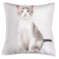 Shalinindia Digitally Printed Animal Face Cushion Cover Set Of 2,18x18 Inch,Faux Silk Dupion,Singapura Cat