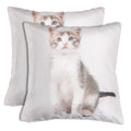 Shalinindia Digitally Printed Animal Face Cushion Cover Set Of 2,18x18 Inch,Faux Silk Dupion,Singapura Cat