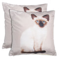 Shalinindia Digitally Printed Animal Face Cushion Cover Set Of 2,18x18 Inch,Faux Silk Dupion,Siamese Cat