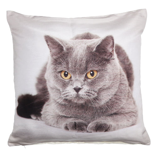 Shalinindia Digitally Printed Animal Face Cushion Cover Set Of 2,18x18 Inch,Faux Silk Dupion,Grey Persian Cat