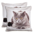 Shalinindia Digitally Printed Animal Face Cushion Cover Set Of 2,18x18 Inch,Faux Silk Dupion,Grey Persian Cat